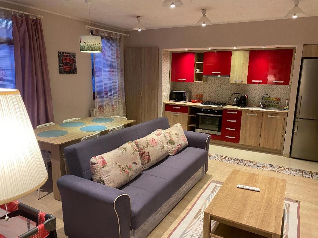 Igi Red Flat With Free Private Parking Apartamento Cluj-Napoca Exterior foto